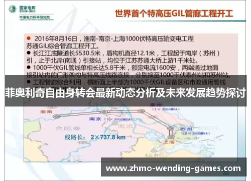菲奥利奇自由身转会最新动态分析及未来发展趋势探讨