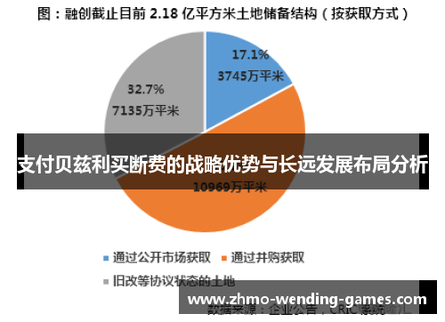 支付贝兹利买断费的战略优势与长远发展布局分析